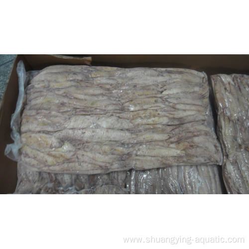 Haccp Bigeye Bonito Tuna Albacore Loins Vacuum Pack